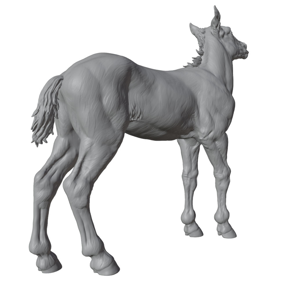 High-Detail Printing, Realisti - огляд і ціна Model Kit Horse
