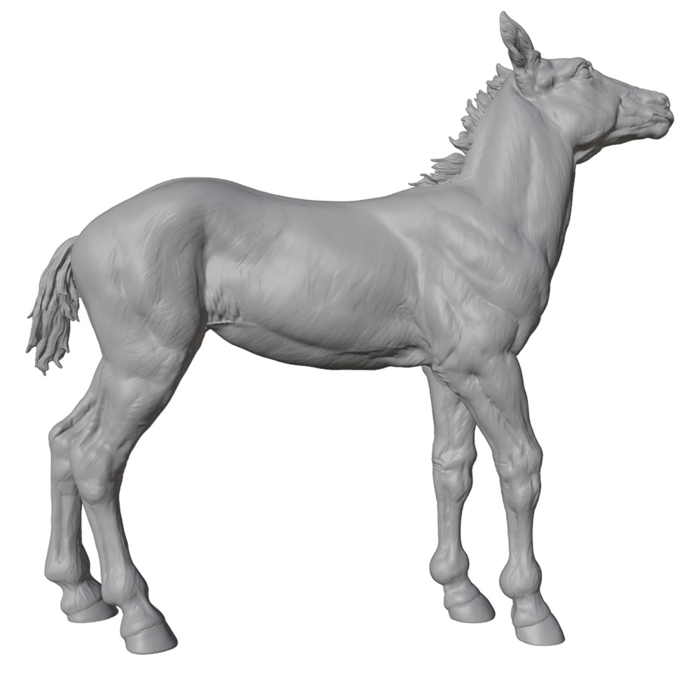 High-Detail Printing, Realisti - огляд і ціна Model Kit Horse