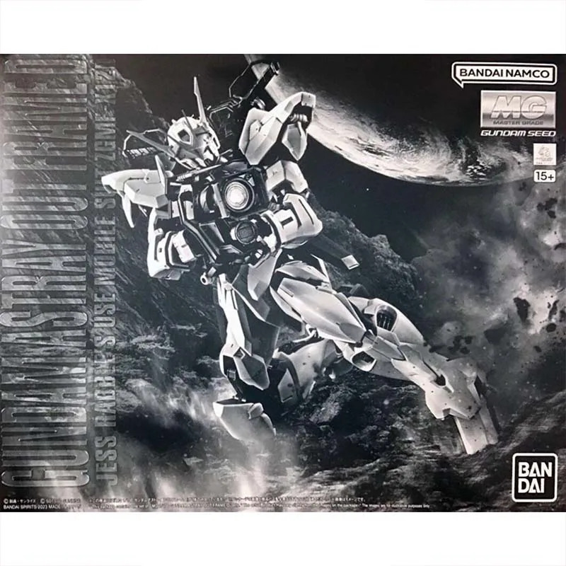 Bandai Gundam Model Kit MG Ast - огляд і ціна Gundam Model Mg