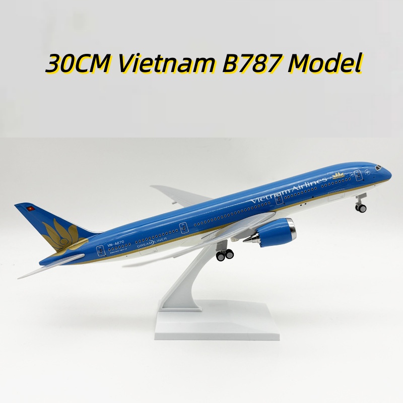 30cm Vietnam B787 Plane Model  - огляд і ціна Model Kit Plane