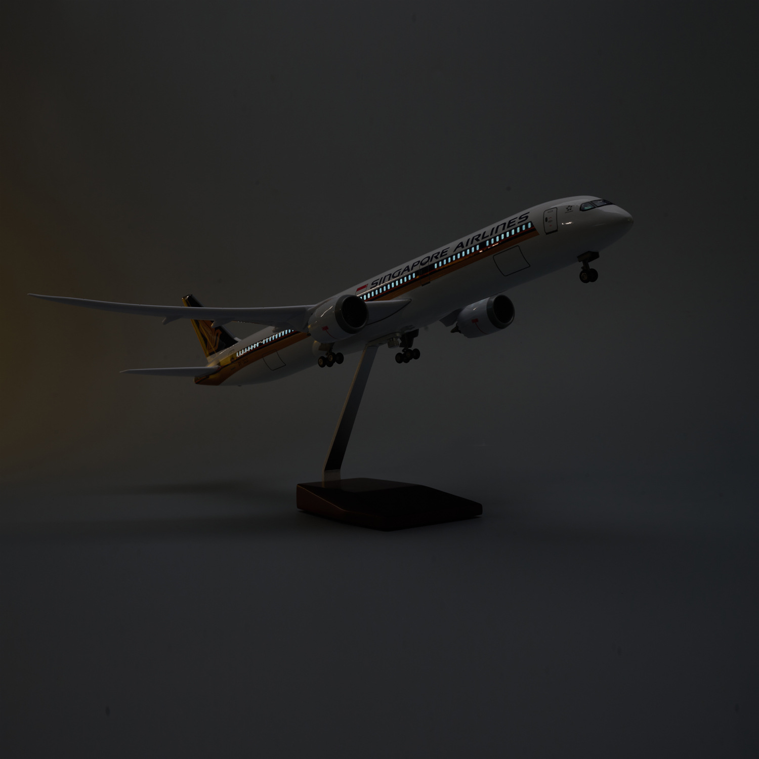47cm Singapore B787-10 Resin D - огляд і ціна Model Kit Singapore